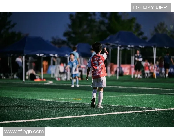 全方位解析球星风采 揭秘绿茵场上的璀璨之星